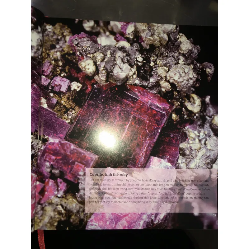 Đá quý và khoáng sản - Bách khoa toàn thư bằng hình ảnh với hơn 1000 mẫu vật  718393