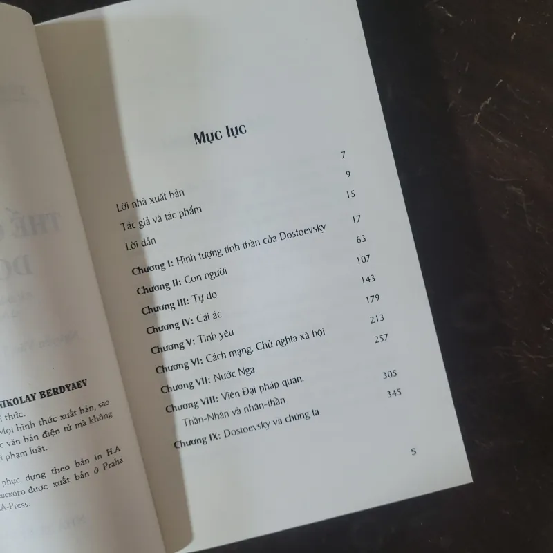 Thế giới quan của Dostoevsky - N. Berdyaev 1003134