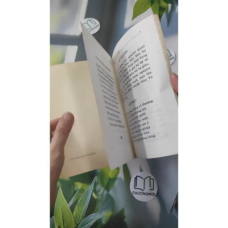 Kinh Thiên Địa Bát Dương 997821