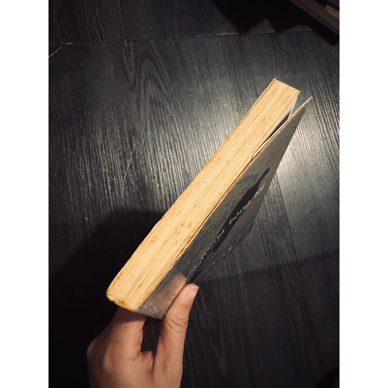 Người trong bóng tối 462270