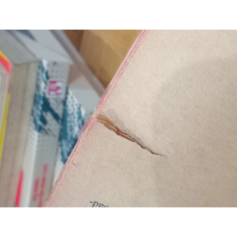 The Woman and The Sea - Mary Ellen Chase 521800