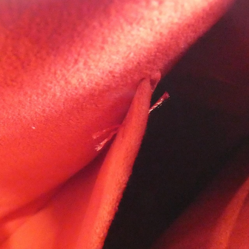 Túi xách vai Louis Vuitton Damier Ravello GM N60006+J03000 610447