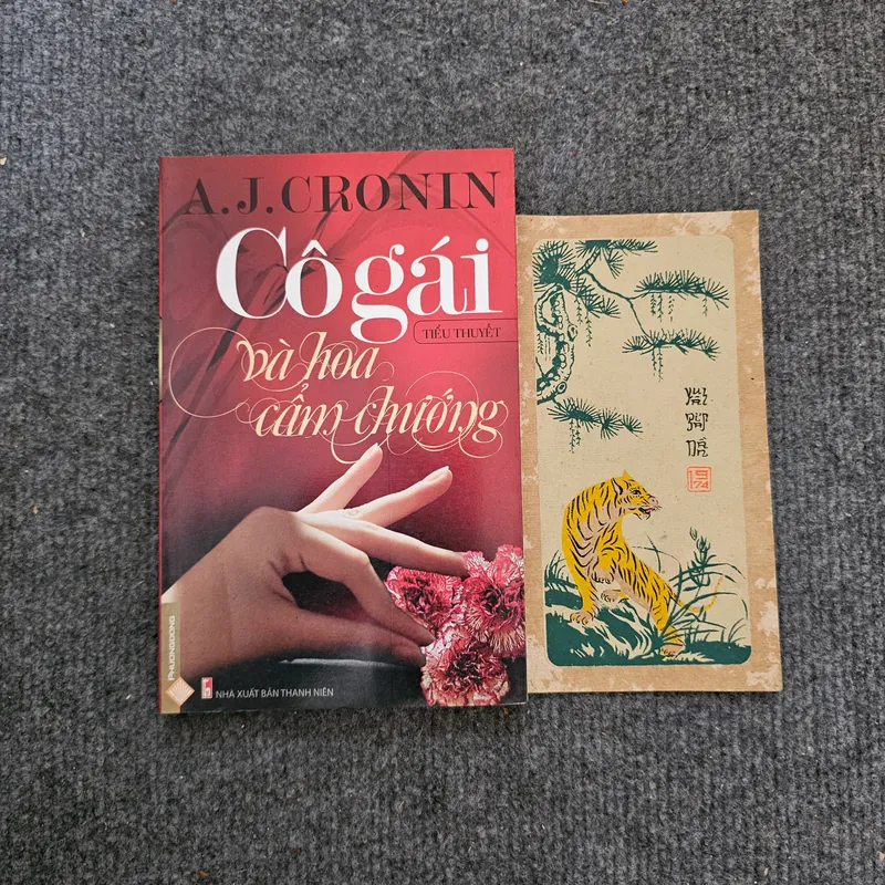 Cô gái và hoa cẩm chướng 734461