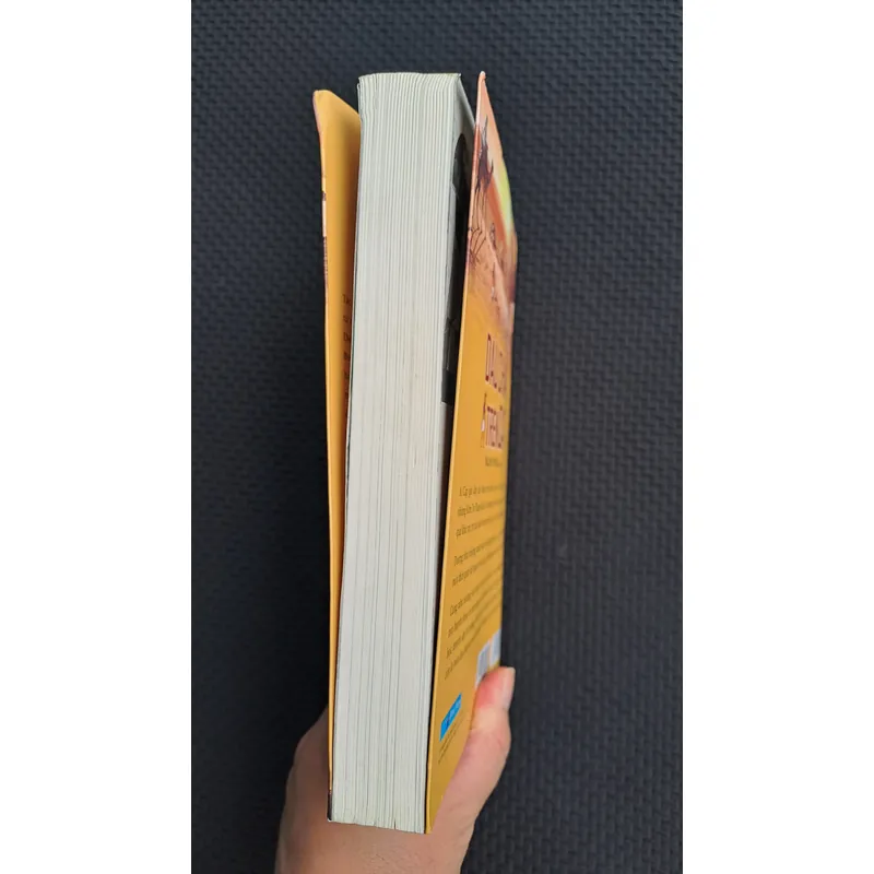 Dấu chân trên cát - Nguyên Phong 739437