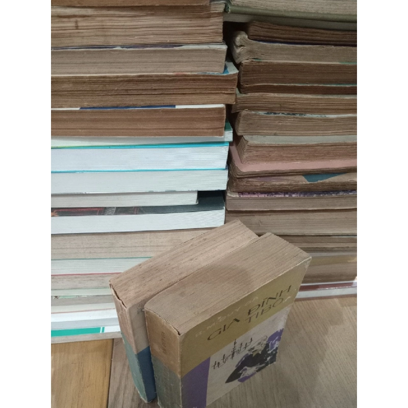 Gia đình Tibô - R.M.Đuy Ga 755701