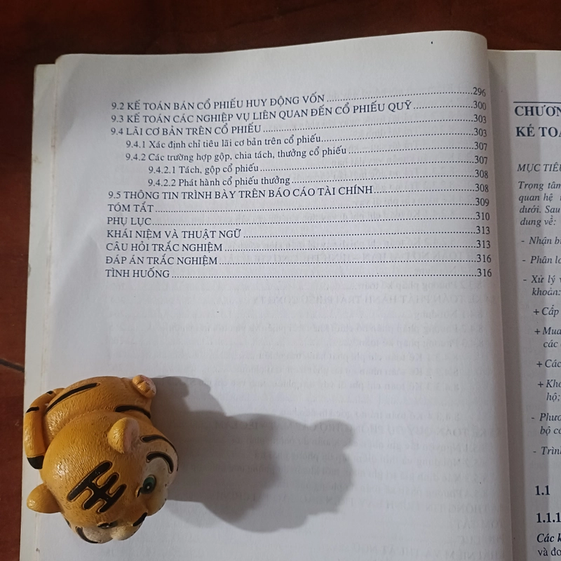 Giáo trình Kế toán Tài chính (Phần 3&4) - PGS. TS Bùi Văn Dương 492640