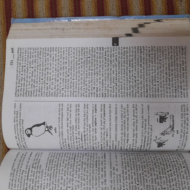 Từ điển Anh Anh Việt 571402