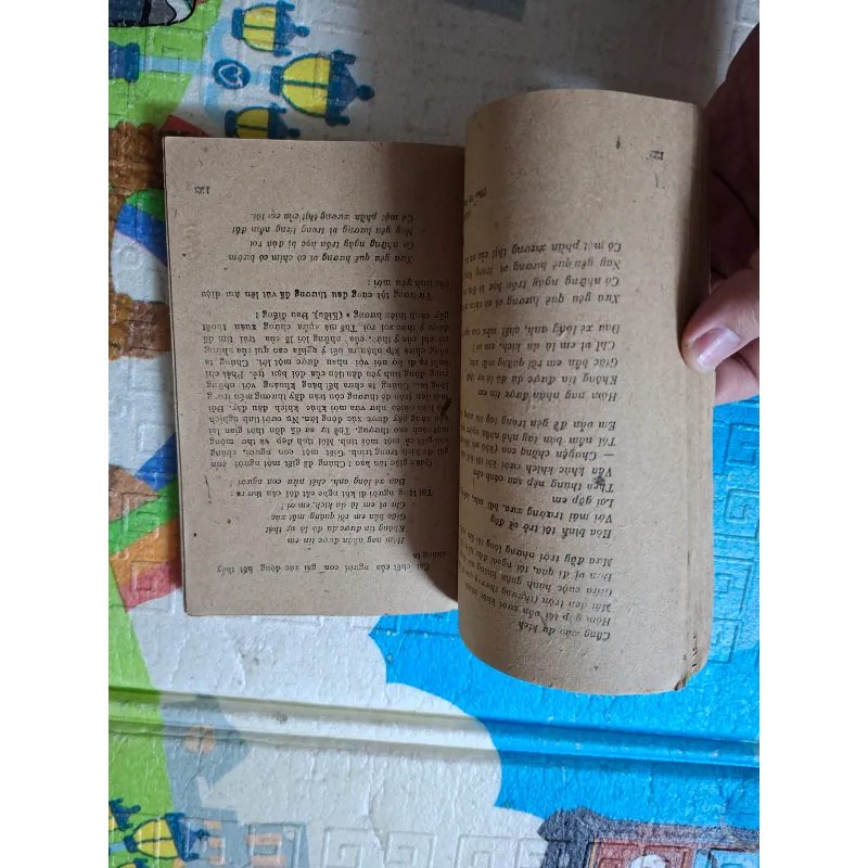 Những Vẻ Đẹp Thơ 995062