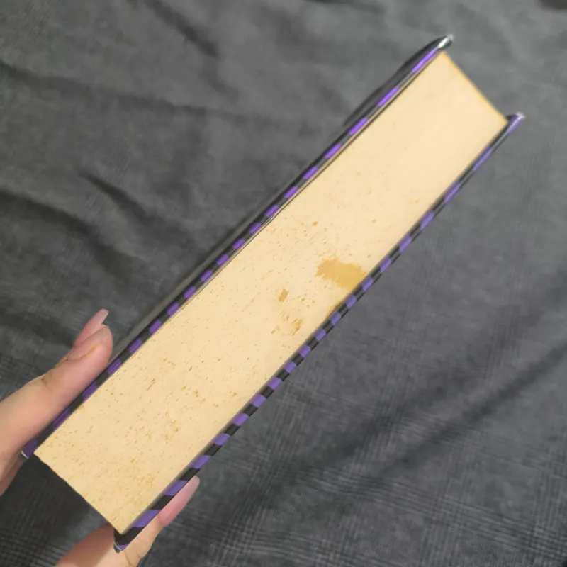 Little Stars (A Hetty Feather Adventure) - Jacqueline Wilson [Hardcover] 1010574