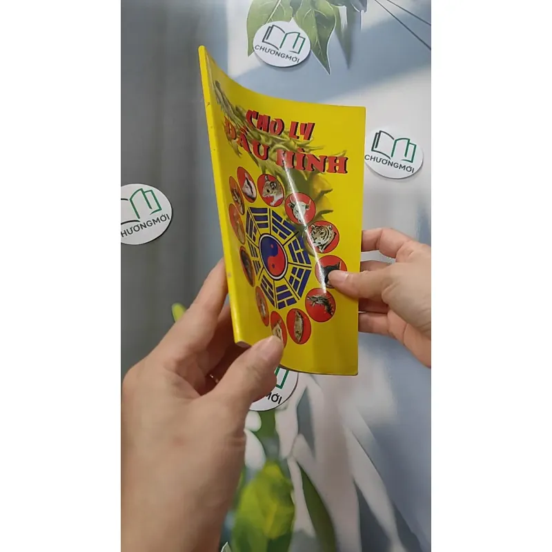 Cao Ly Đầu Hình 775958