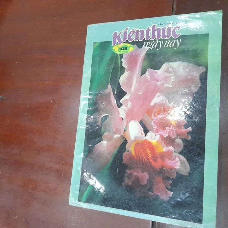 Combo 10 cuốn KIẾN THỨC NGÀY NAY không trùng số 549999