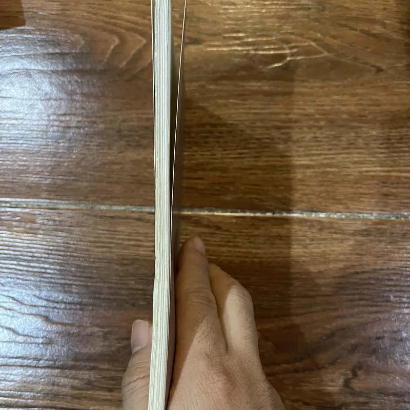 Thiên thần sám hối - Tạ Duy Anh  (6) 735003