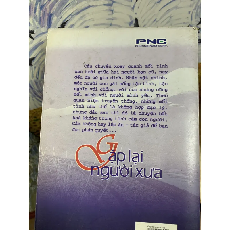 Gặp Lại Người Xưa - Junichi Watanabe 925737