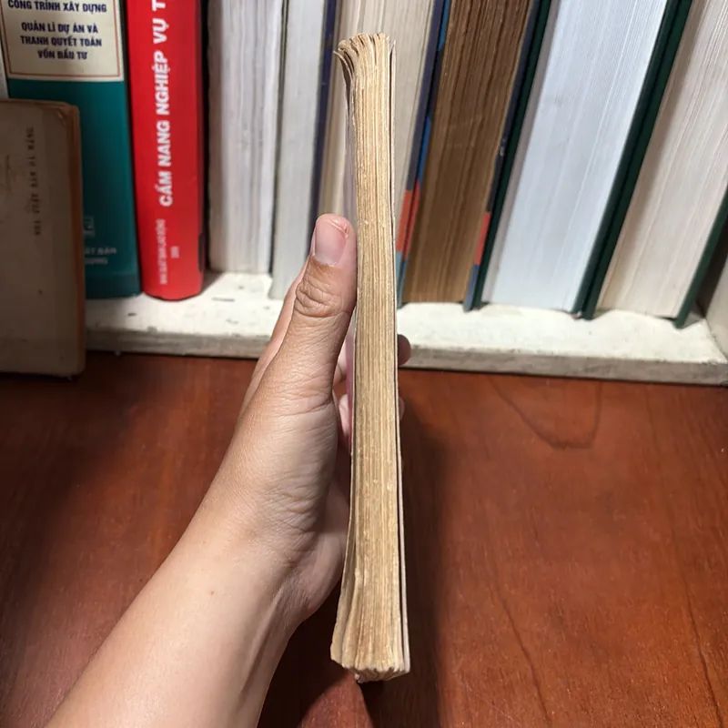 II Cổ Nhân: Mạnh Tử - Nguyễn Hiến Lê - 1993 720802