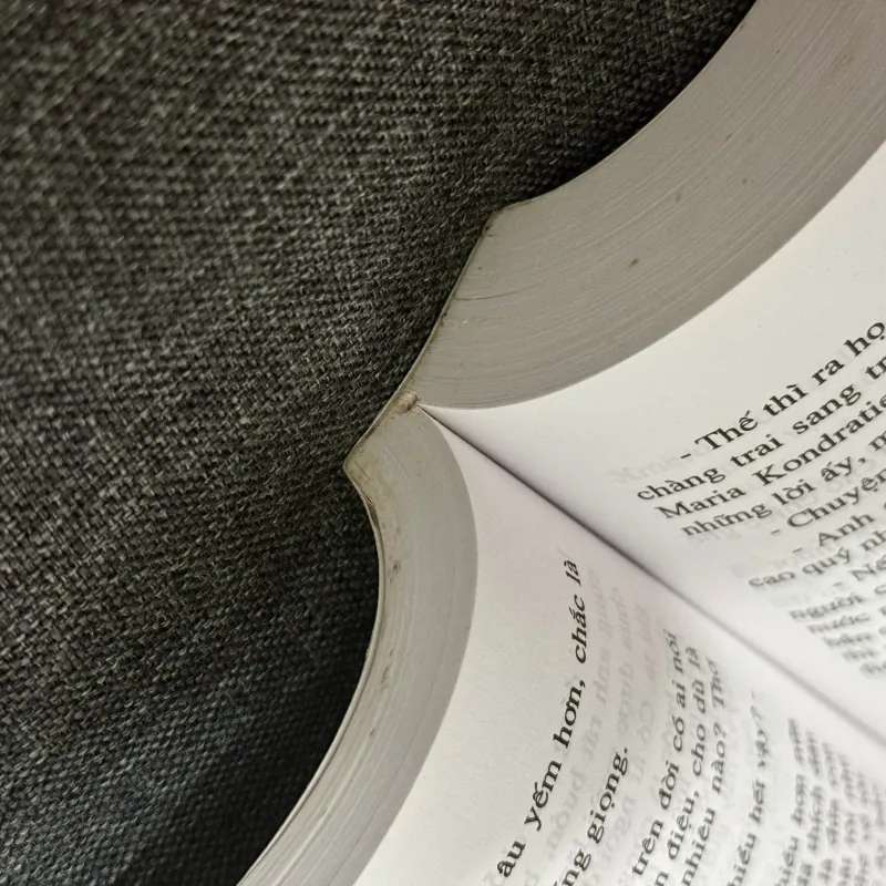 Anh em nhà Karamazov - Fyodor Dostoievsky 797999