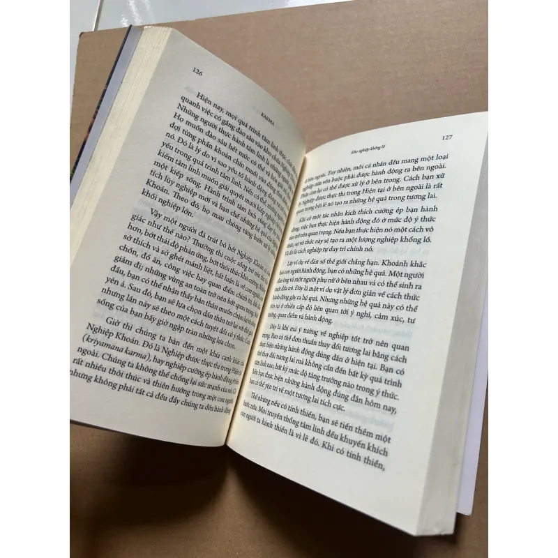 Karma - Nghiệp chỉ dẫn kiến tạo vận mệnh của một yogi 997041