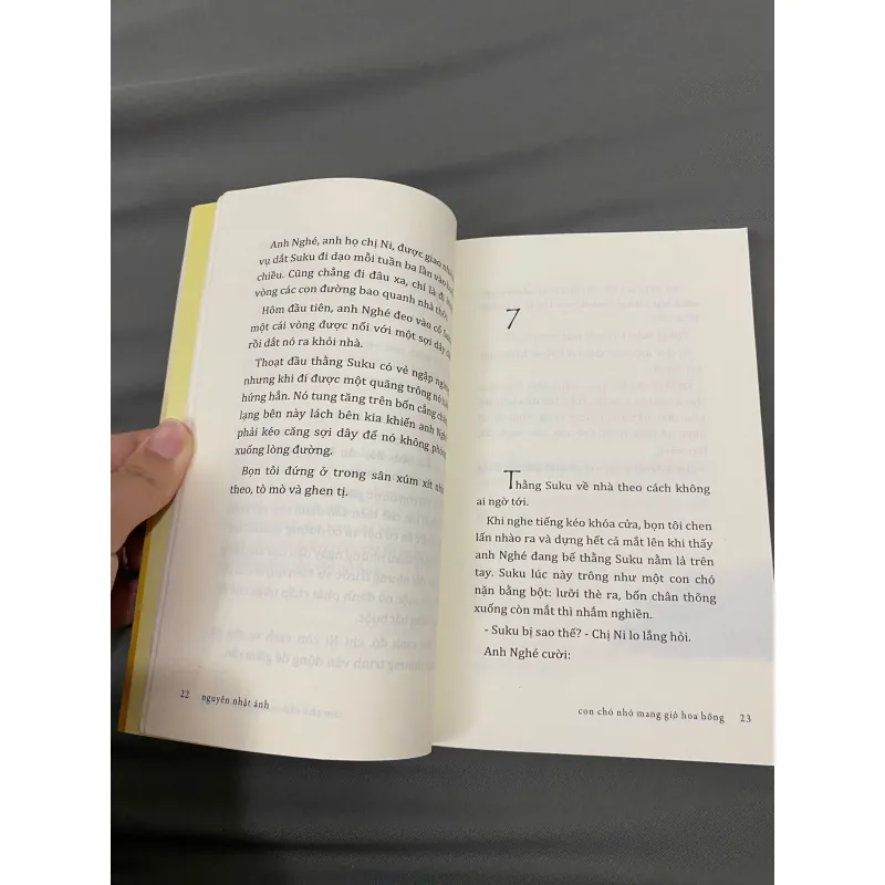 Con chó mang giỏ hoa hồng 1008108