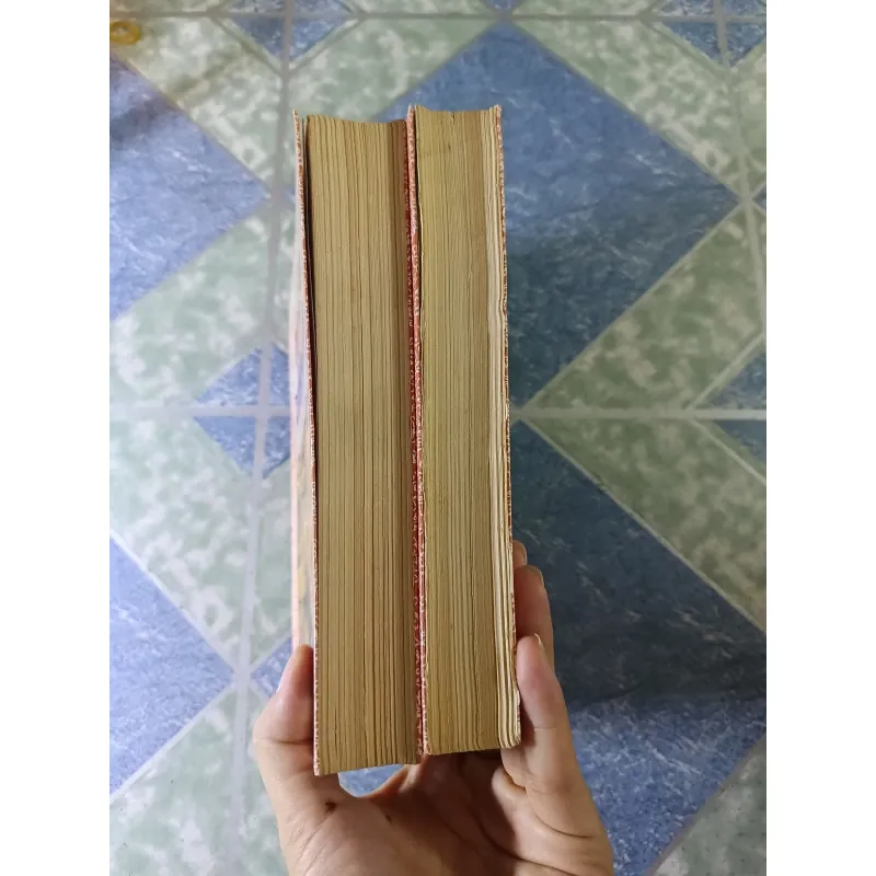 Phi Long diễn nghĩa ( 2 tập) - Trương Minh Chánh 756041