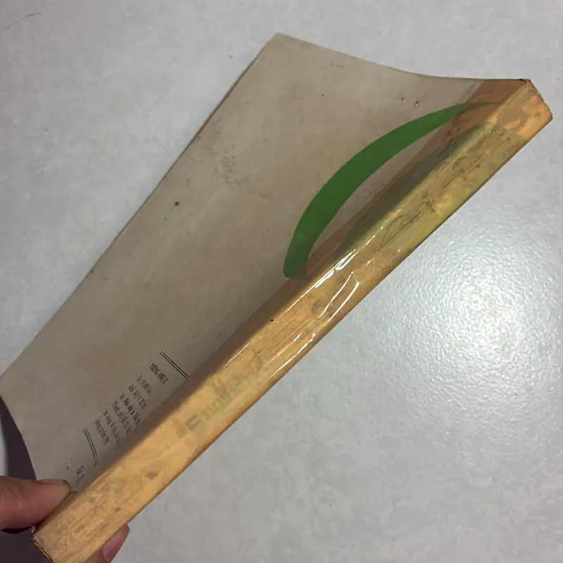 English 12 - 1990s 784017