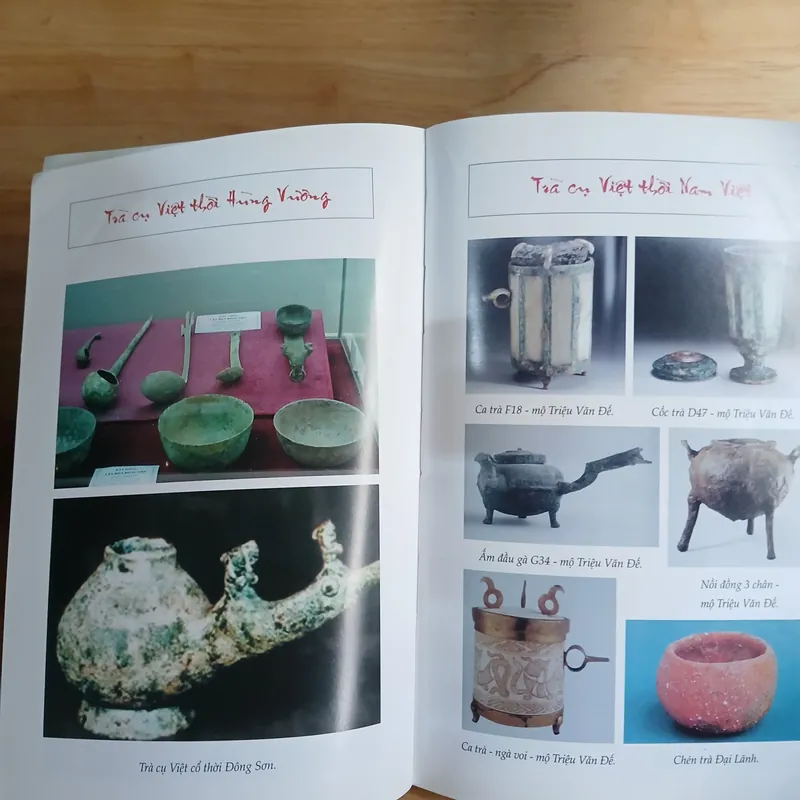Văn Minh Trà Việt - Trịnh Quang Dũng 565239