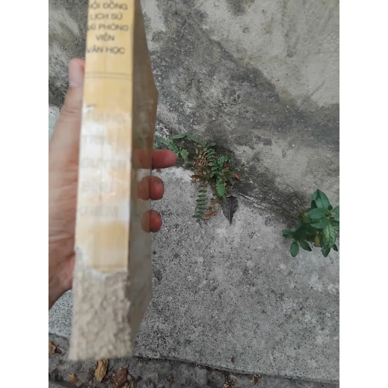 Trạng trình Nguyễn Bỉnh Khiêm  1022826