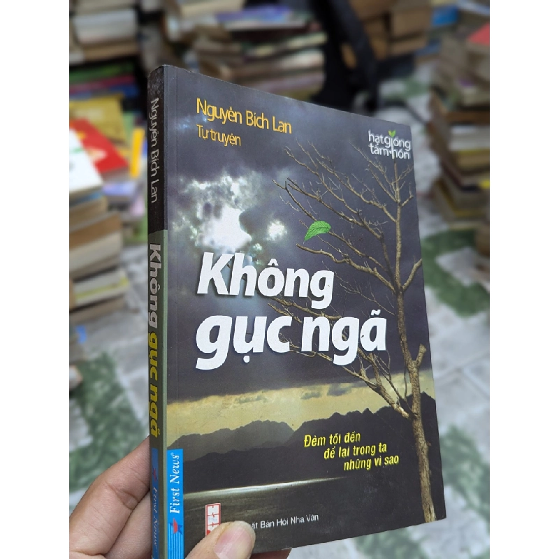 Không gục ngã - Nguyễn Bích Lan tự truyện 121713