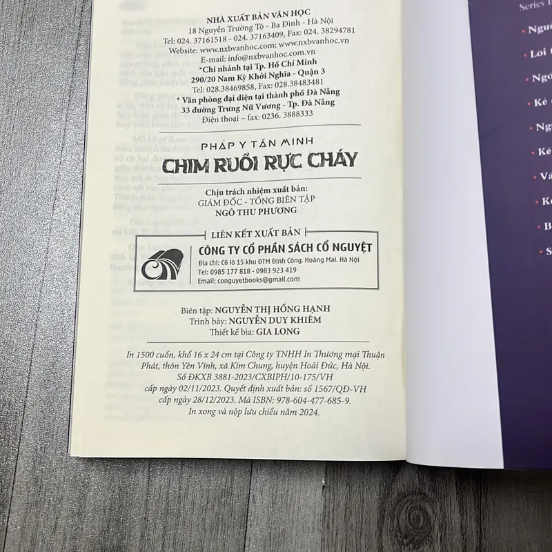 Chim ruồi rực cháy. 3b5 574931