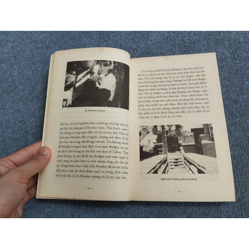 CUỘC ĐỜI BỊ ĐÁNH CẮP - JAYCEE DUGARD 478676