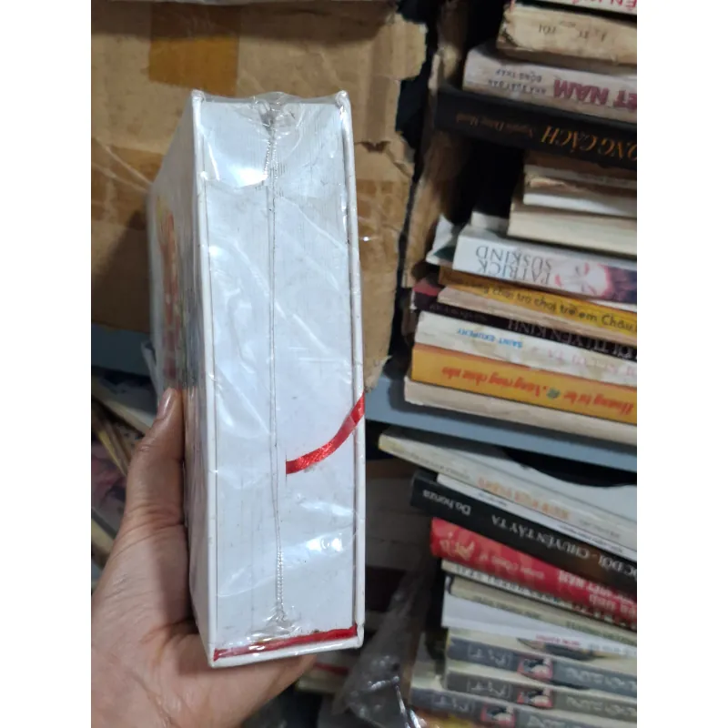 Lịch sử võ học VN 932005