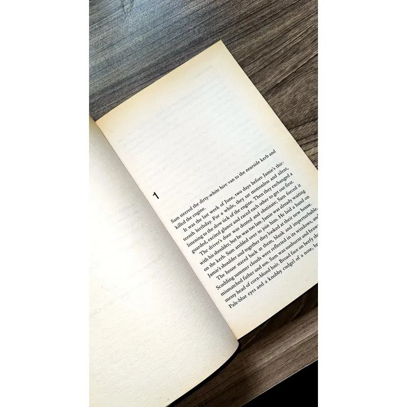 Always the Sun by Neil Cross (preloved book) 726604