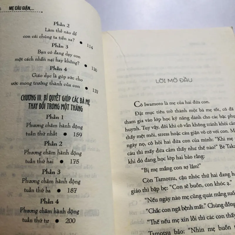 MẸ CÁU GIẬN, CON HƯ HỎNG 749170