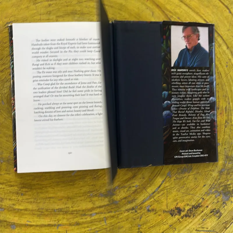 BENEATH CAAQI’S WINGS a novel - RICH SHAPERO 1002576