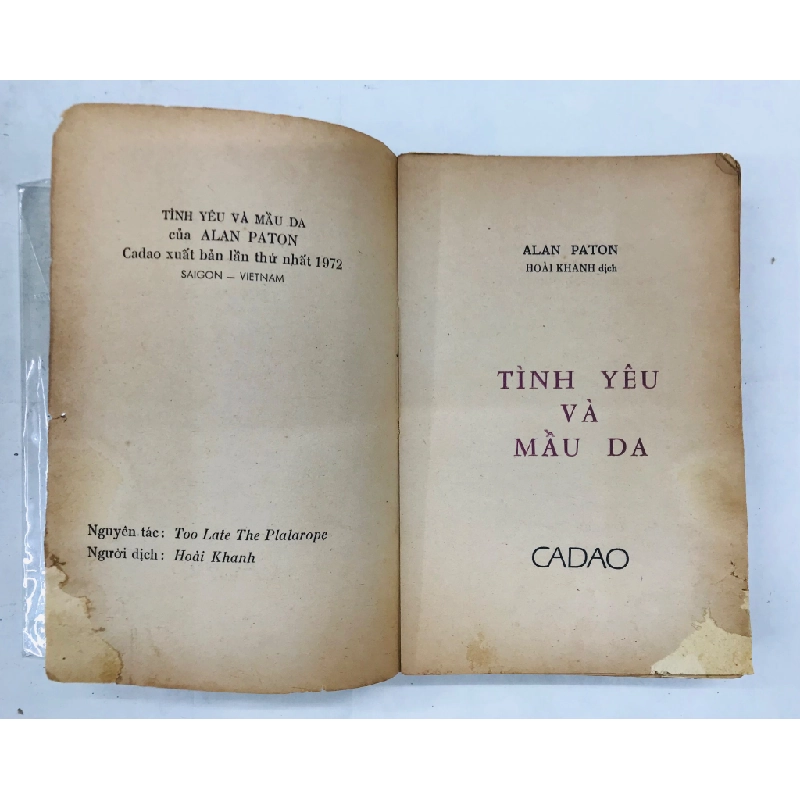 TÌNH YÊU VÀ MÀU DA 132476