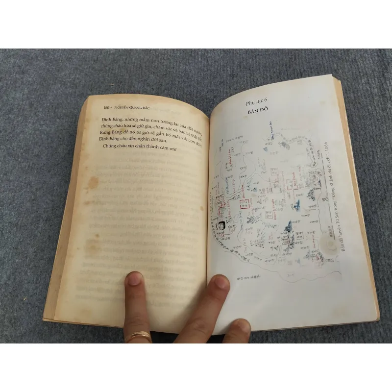 RỪNG BÁNG TRỞ VỀ QUÊ HƯƠNG NHÀ LÝ 993177