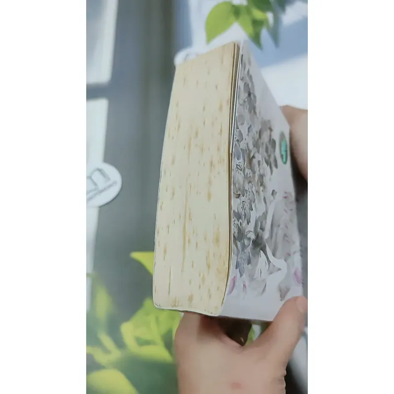 Gió Mang Ký Ức Thổi Thành Những Cánh Hoa - Diệp Lạc Vô Tâm 744749