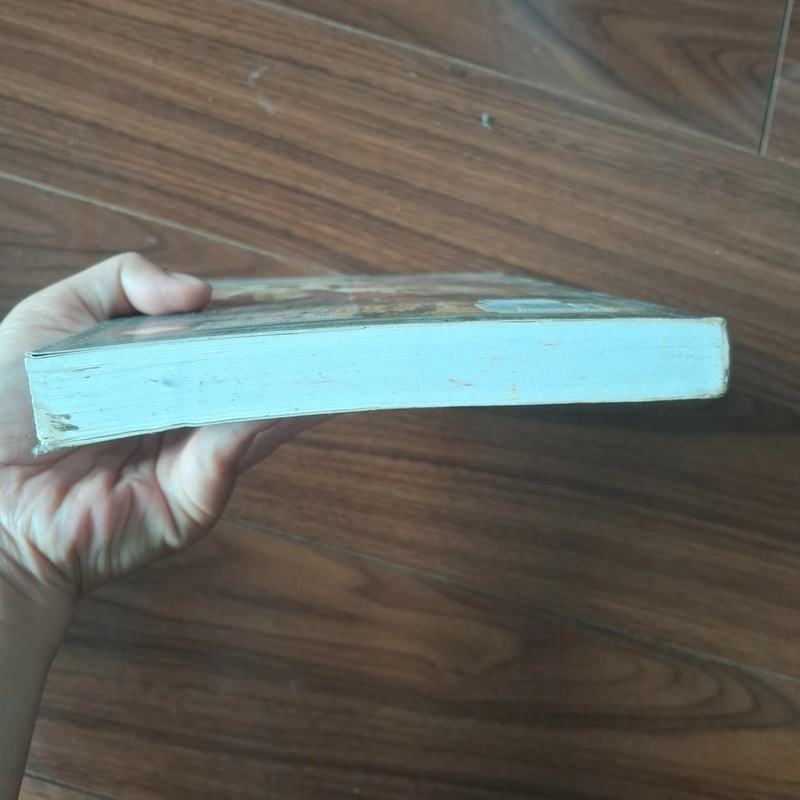 Diệp gia kiếm 508369