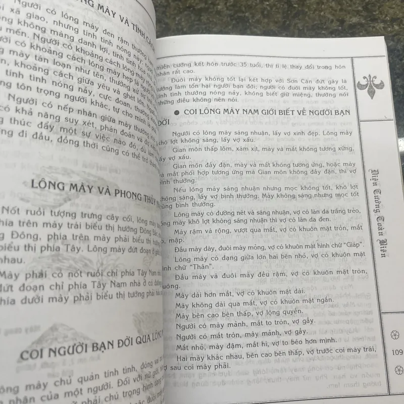 Diện tướng toàn biên Thanh Y Đạo 713206