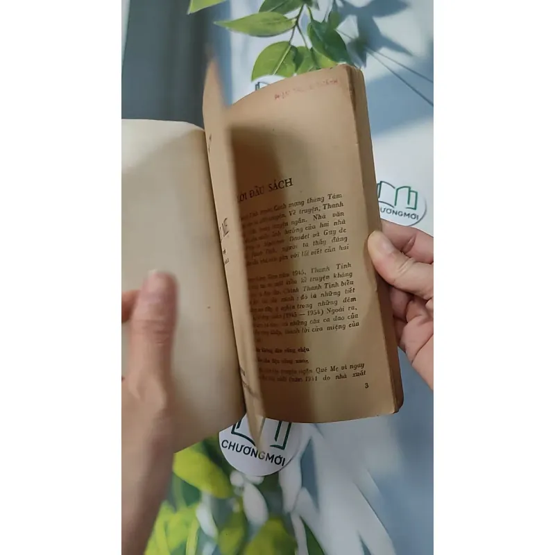 [XƯA] Quê Mẹ (1989) - Thanh Tịnh 775985