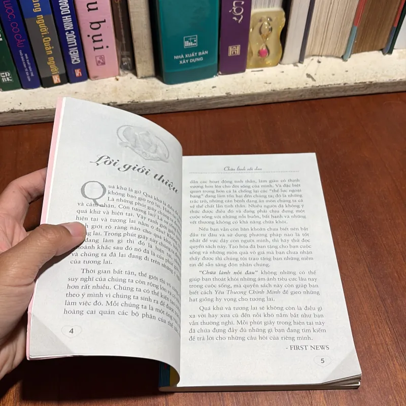 II Sách Về Cuộc Sống: Chữa Lành Nỗi Đau - LOUISE L. HAY - 2015 958683