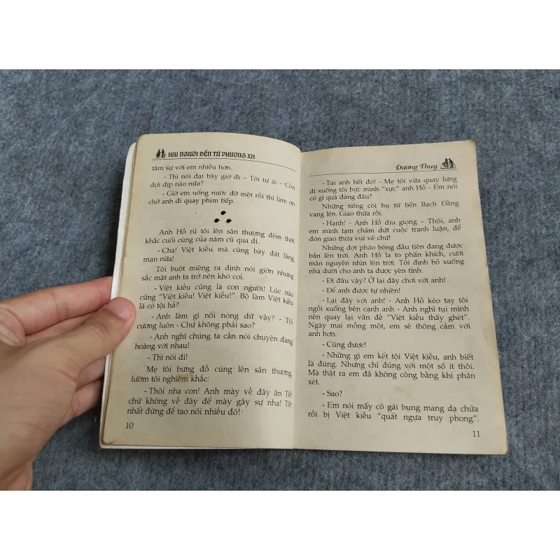 HAI NGƯỜI ĐẾN TỪ PHƯƠNG XA - DƯƠNG THỤY 567818