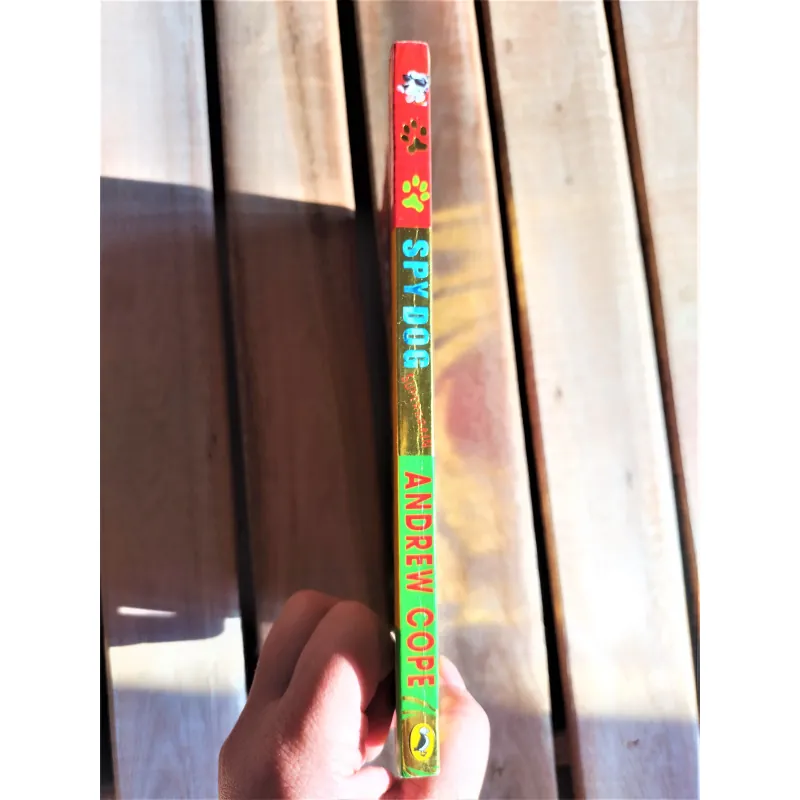 Sách ngoại văn - Spydog - Superbrain - Tác giả: Andrew Cope 713470