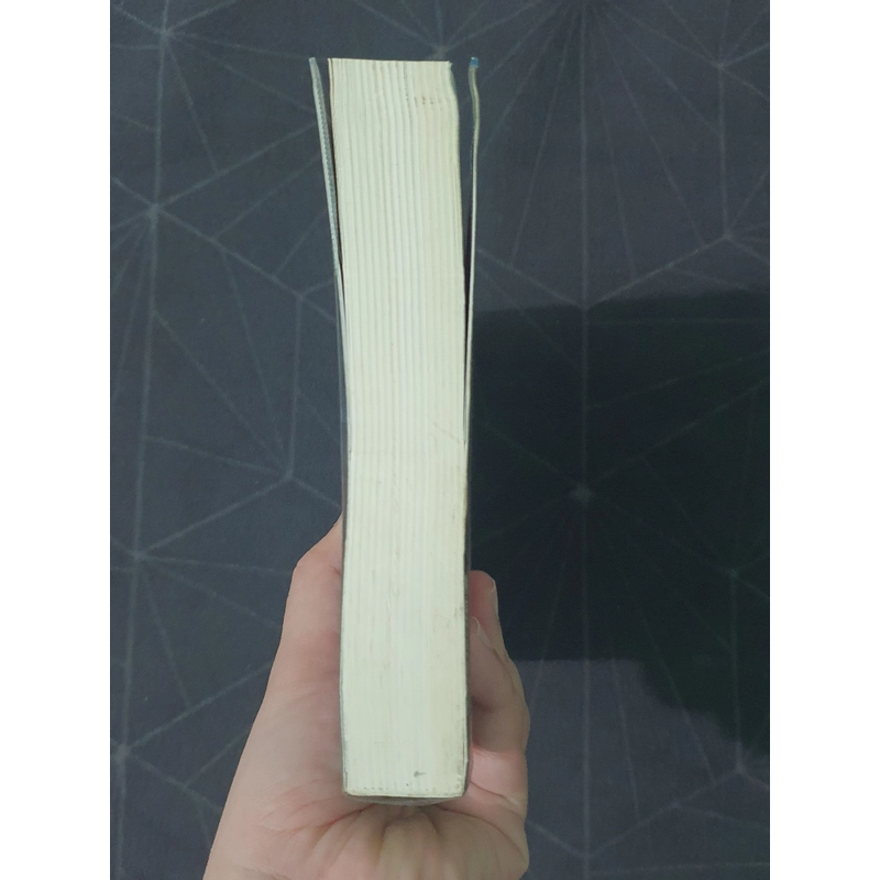 "Trăng sáng cố hương" - Lại Nhĩ 492903
