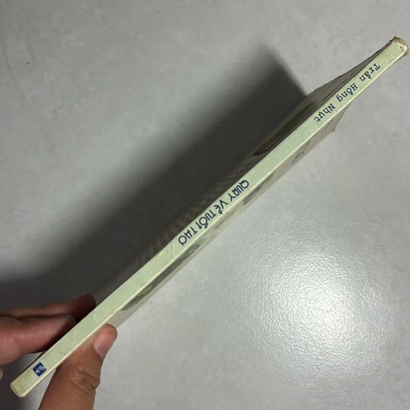 Quay về tuổi thơ - Trần Hồng Nhựt 790648