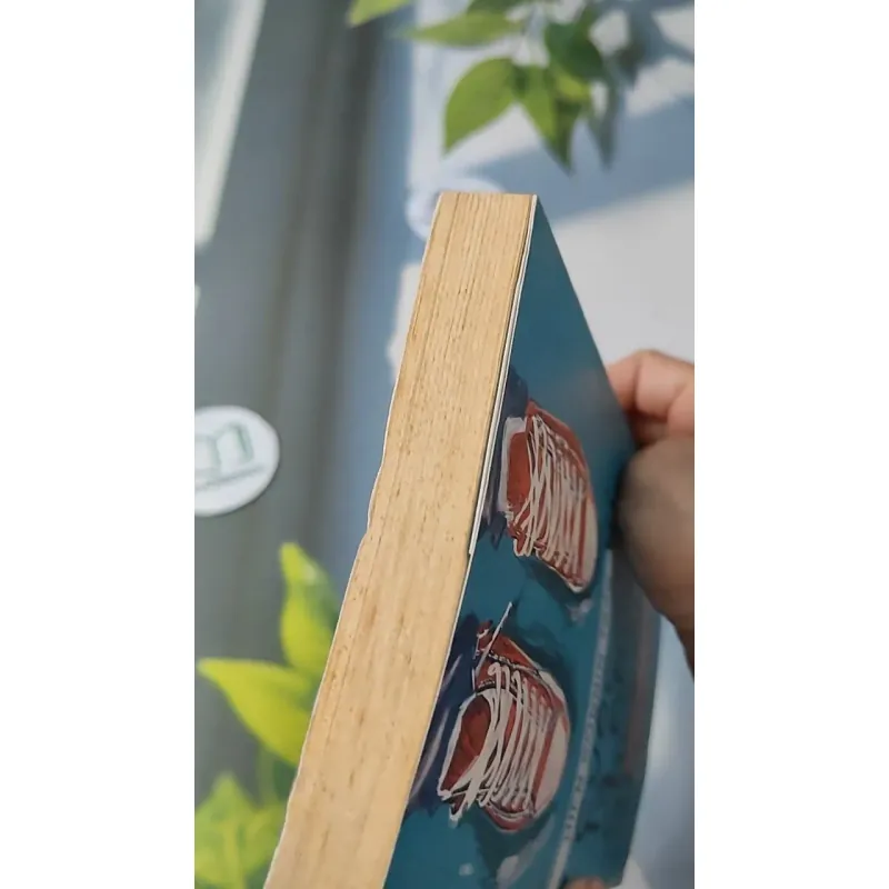 Vì Cuộc Đời Là Những Chuyến Đi - Hiên Bonnin Trần 727248