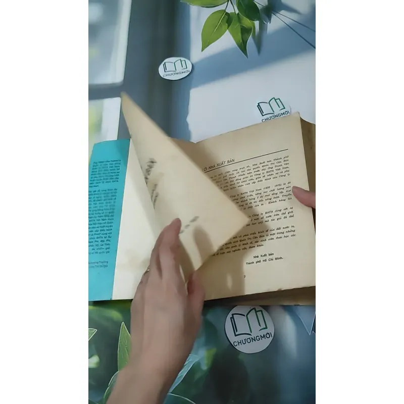 [MIỄN PHÍ BỌC SÁCH] [XƯA] Quản Trị Căn Bản (The Basic Principles Of Management) (1992) - Trịnh Vân Thanh 1018883