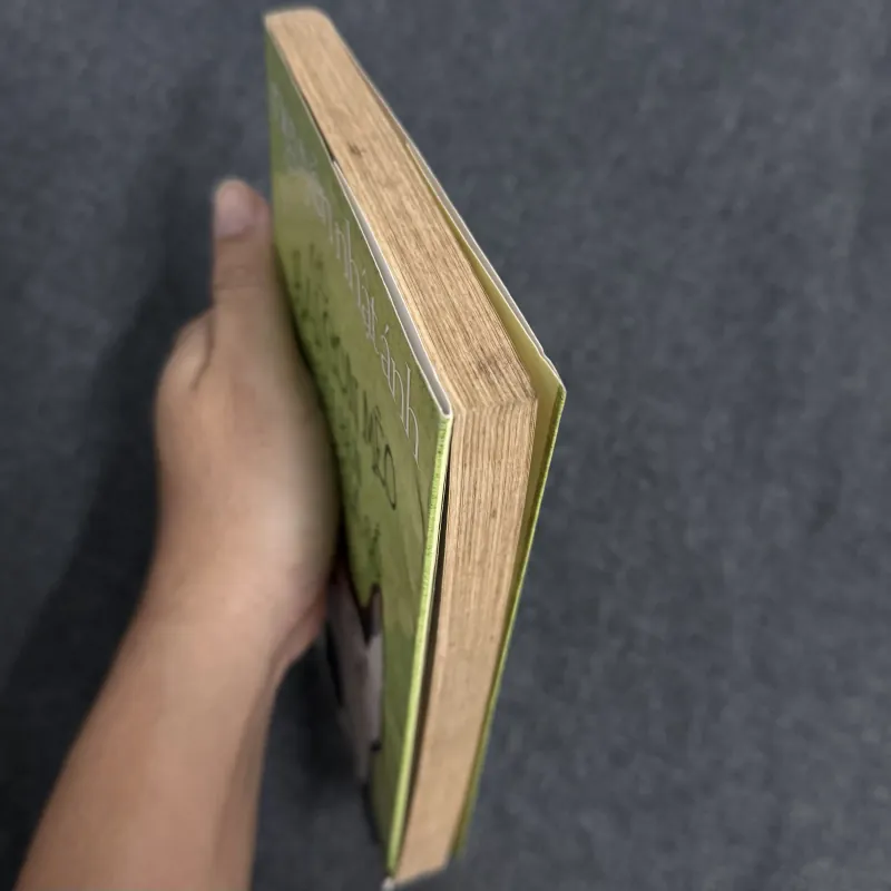 Có hai con mèo ngồi bên cửa sổ - Nguyễn Nhật Ánh 1023041