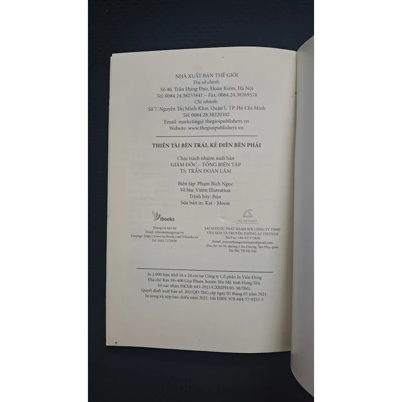 Thiên tài bên trái, kẻ điên bên phải - Cao Minh 722285