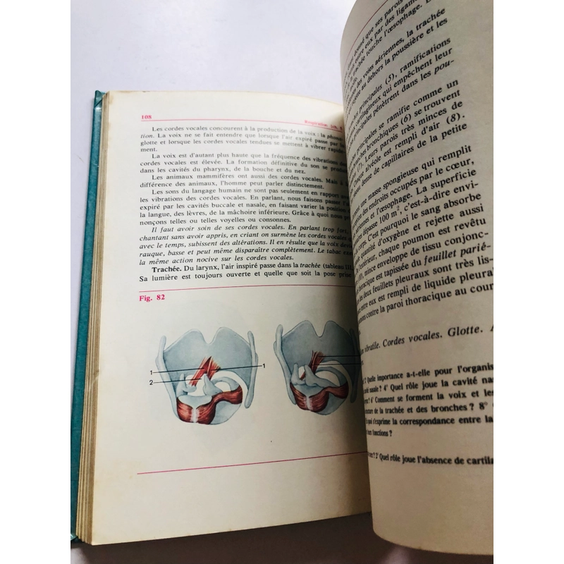 HOMME  - Anatomy  - PPhysiologie  - Hygiene  552554