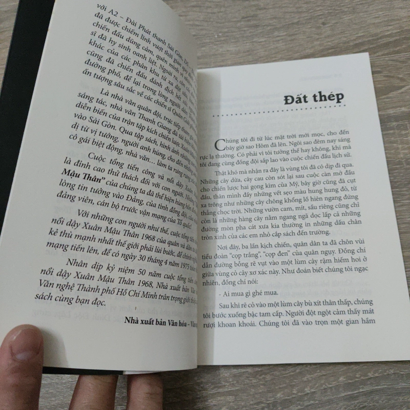 Chiến Sĩ Mậu Thân - Thanh Gian 532064