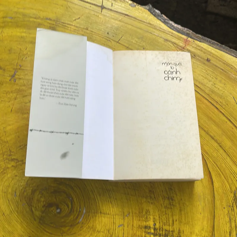 MÓN QUÀ TỪ CÁNH CHIM- EUN HEE- KYUNG 590188